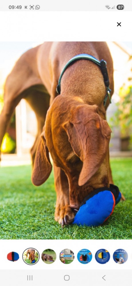 Screenshot20251114094929samsung internet