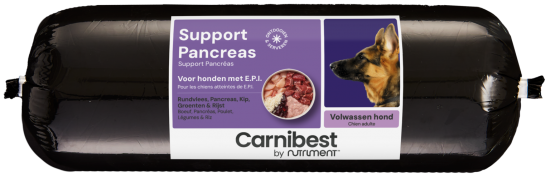 Support pancreas 1536x496